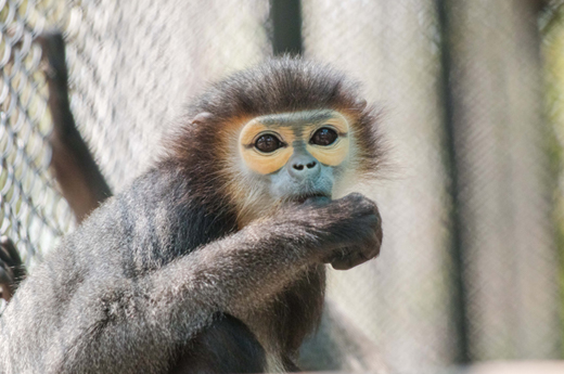 Tour Gallery Image 1