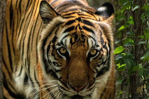 Tour Gallery Image 2