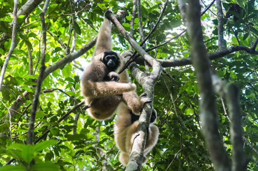 Tour Gallery Image 2